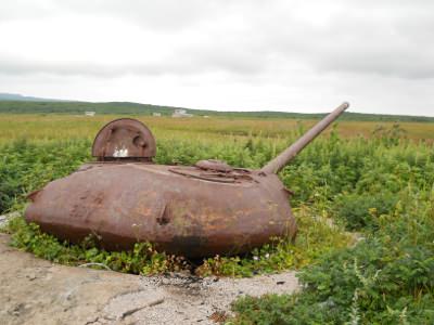 ヤンケトウ草原と戦車