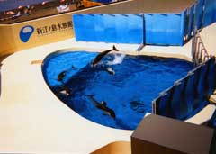 新江ノ島水族館